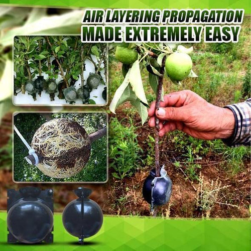 50% OFF--Plant Root Growing Box