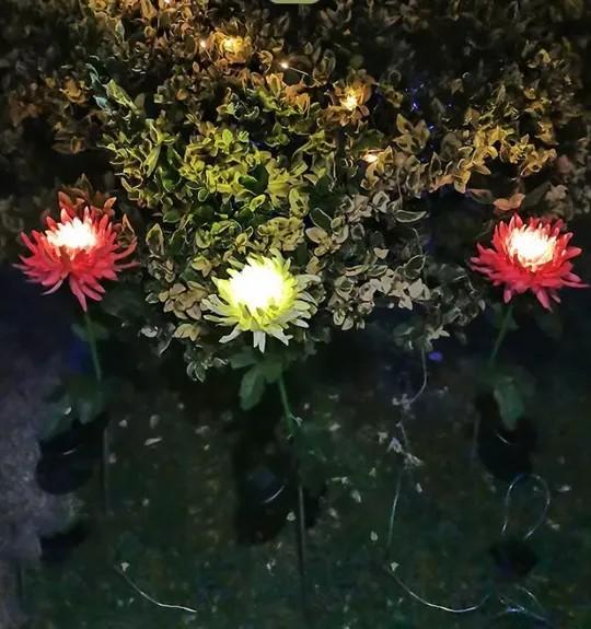 Spring artificial chrysanthemum solar garden stake lights